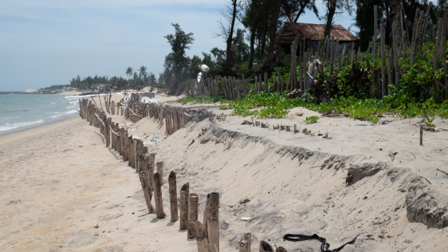 Đổ cát nuôi bãi hy sinh: Giải pháp căn cơ chống xói lở bờ biển Hội An