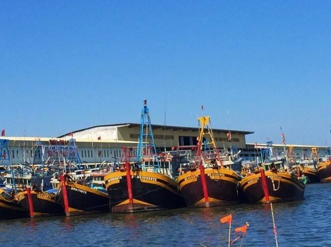 Bình Thuận: 100% tàu cá lắp đặt thiết bị giám sát hành trình