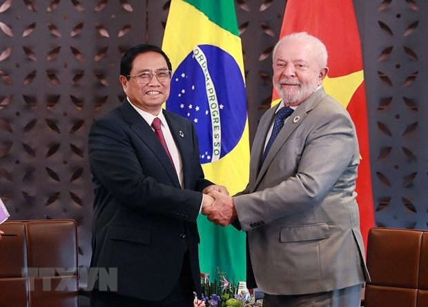 Đưa mối quan hệ giữa hai nước Việt Nam và Brazil lên tầm cao mới | Chính trị | Vietnam+ (VietnamPlus)
