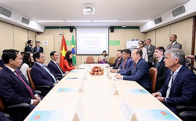 Thúc đẩy khởi động đàm phán FTA Việt Nam - Khối thị trường chung Nam Mỹ