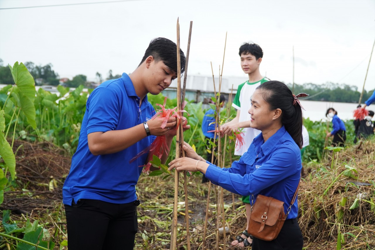 Tổng Lãnh sự Hà Lan tại TP HCM trồng cây chống xói lở bờ sông tại Cần Thơ