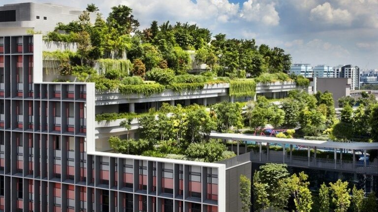 Phát triển kinh tế xanh ở Singapore và kinh nghiệm cho TP.HCM