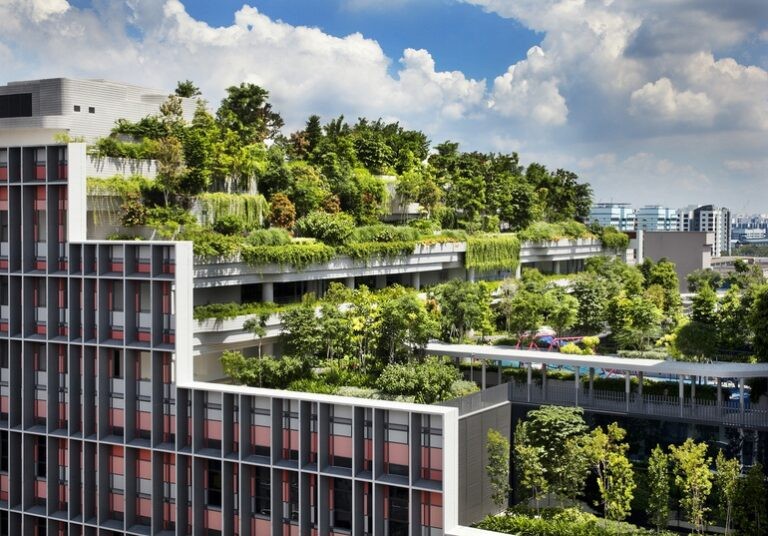 Công trình Ventus Naturalized Garden Vườn thiên nhiên Ventus thuộc khuôn viên của Đại học Quốc gia Singapore. (Ảnh: archdaily)