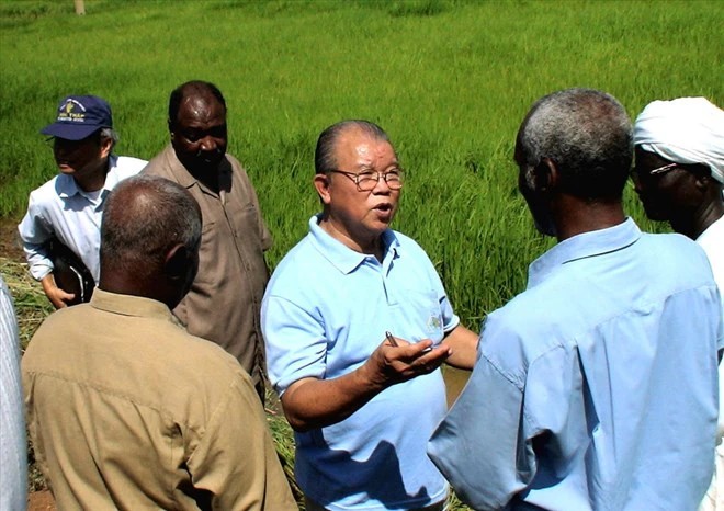 GSTS Võ Tòng Xuân trong lần đến châu Phi hướng dẫn người dân trồng lúa Ảnh Võ Tòng XuânLao Động