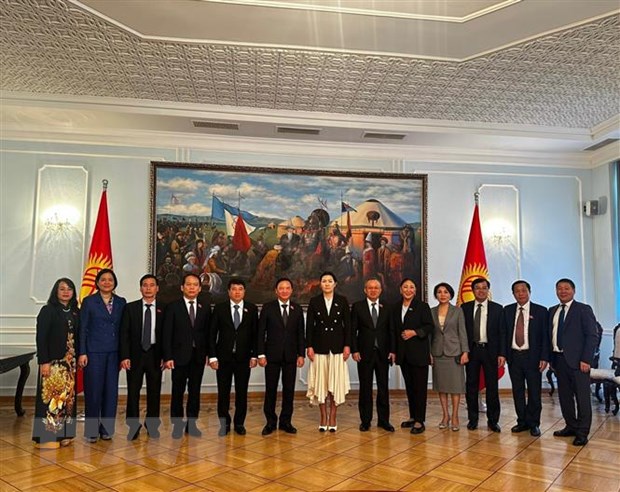 Kyrgyzstan luon coi Viet Nam la doi tac quan trong trong khu vuc hinh anh 1