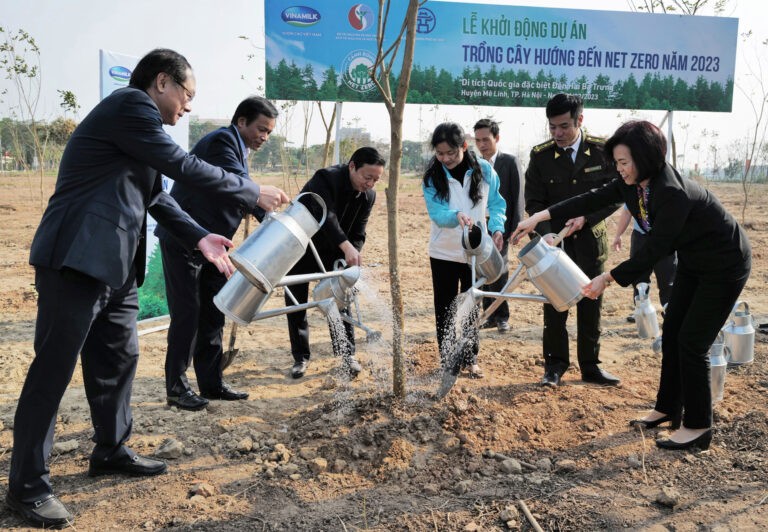 Những cây xanh đầu tiên của dự án trồng cây hướng đến Net Zero tại huyện Mê Linh Hà Nội. (Ảnh: Vinamilk)