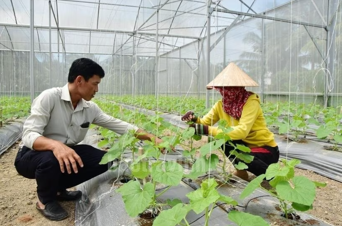 Khoa học, công nghệ cao phát huy hiệu quả trong thích ứng biến đổi khí hậu