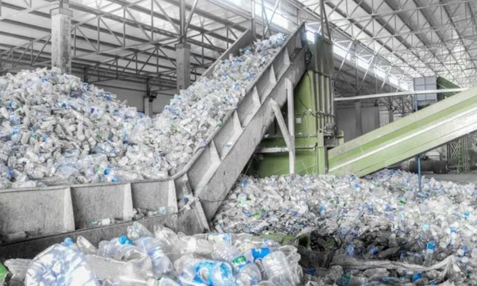 Các chai nhựa được phân loại để đưa vào nhà máy tái chế Ảnh Đại biểu nhân dân