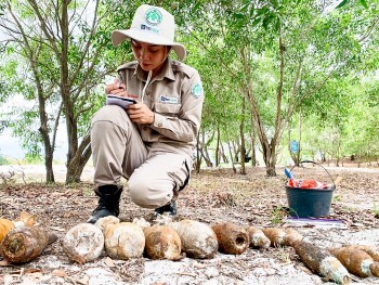 NPA nâng cao năng lực hủy nổ bom mìn cho nhân viên Quảng Trị