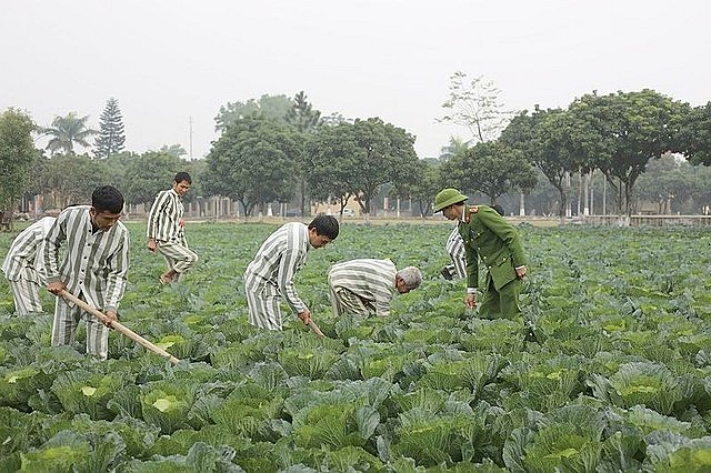 Đã có gần 11 tỷ đồng tín dụng ưu đãi đến với người chấp hành xong án phạt tù