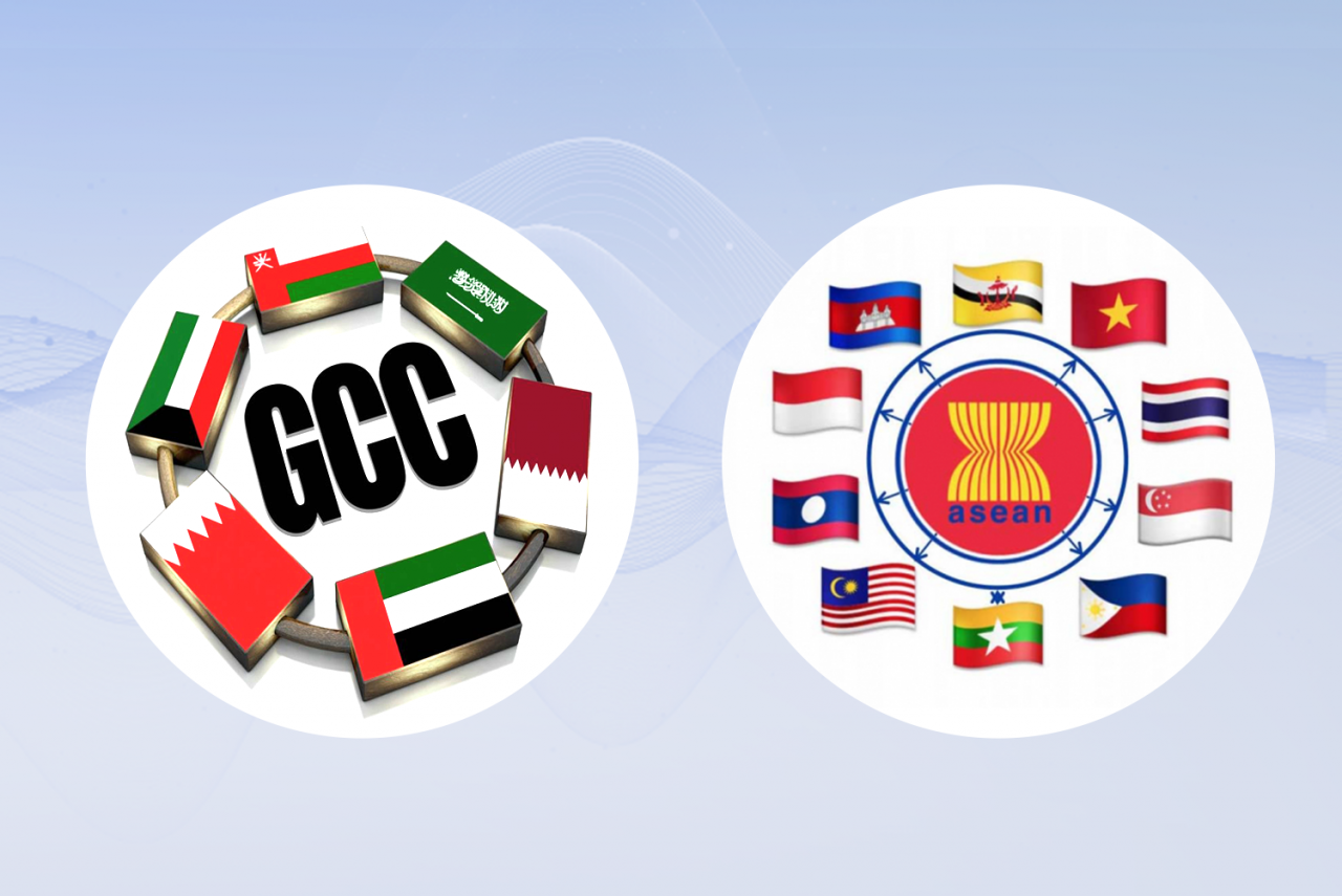 viet nam san sang dong gop vao thanh cong chung cua hoi nghi cap cao asean gcc