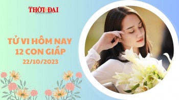 Tử vi hôm nay 12 con giáp 22/10/2023: Tuổi Sửu vướng phải rắc rối, tuổi Thìn tài chính gia tăng