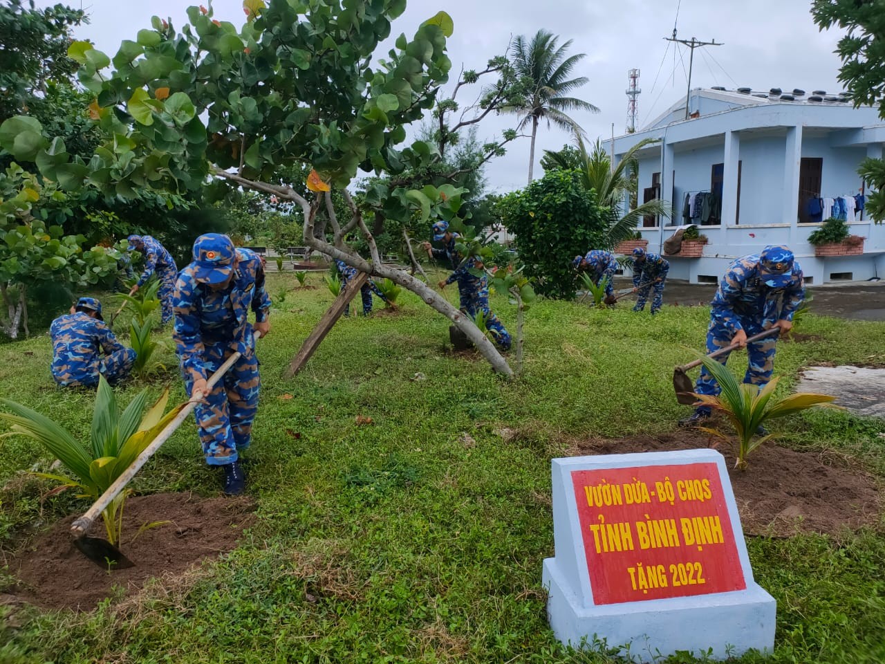 2000 cây dừa giống tặng cho huyện đảo Trường Sa