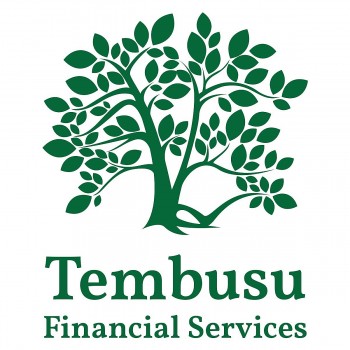 ong vincent tan se giu chuc giam doc dieu hanh moi cua tembusu financial services