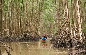 Đồng bằng sông Cửu Long: Sinh kế người dân tại các khu Ramsar được cải thiện