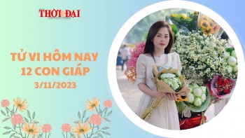 tu vi hom nay 12 con giap 3112023 suu khang dinh duoc vi the cua minh