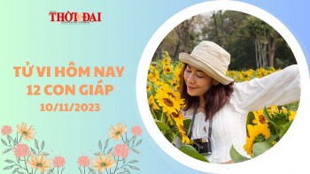 tu vi hom nay 12 con giap 10112023 suu gap nhieu may man trong tien bac