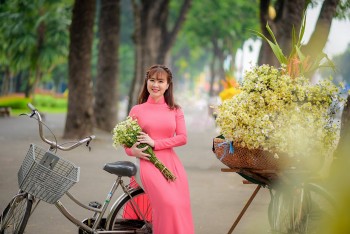 tu vi tuan moi 12 con giap 13 19112023 hoi quy nhan nang do duong cong danh tang tien