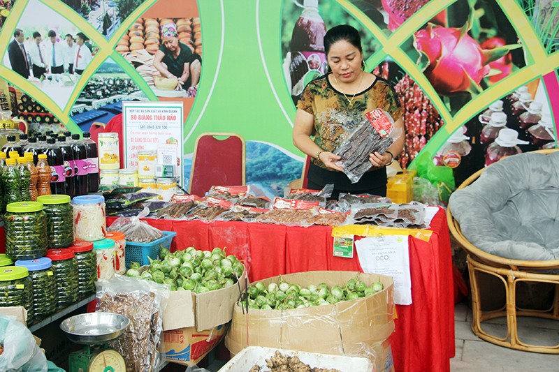 Nghệ An: Lan tỏa tinh thần đại đoàn kết toàn dân qua Chương trình “Ngày hội kết đoàn”