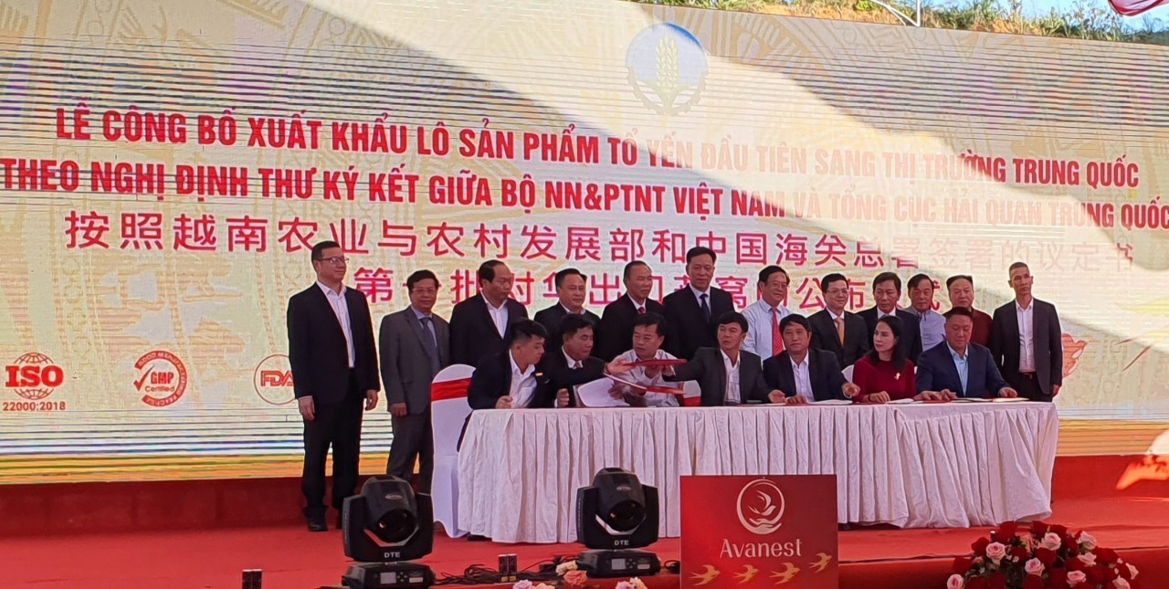Tổ yến Việt Nam lần đầu tiên xuất khẩu sang Trung Quốc