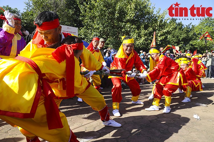 Kéo co mỏ ở thôn Xuân Lai (huyện Sóc Sơn, Hà Nội). (Ảnh: Báo Tin tức)