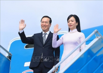 Chủ tịch nước thăm chính thức Nhật Bản: Điểm nhấn quan trọng trong năm kỷ niệm 50 năm quan hệ ngoại giao Việt Nam - Nhật Bản