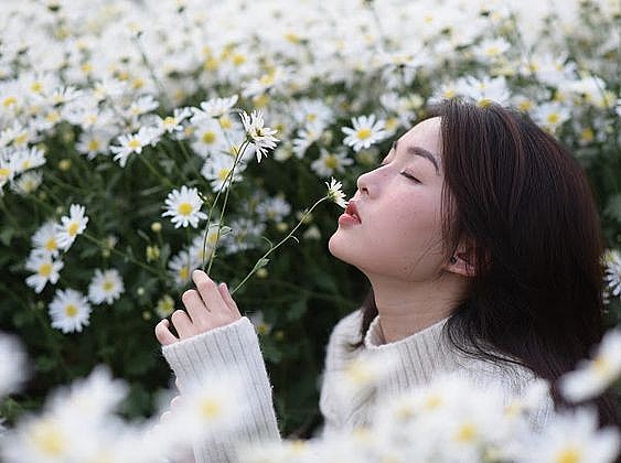 Tử vi tháng 12/2023 12 con giáp: Tháng cuối năm Sửu Mão tài chính tăng vượt bậc