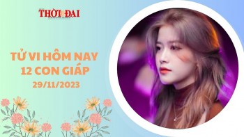 Tử vi hôm nay 12 con giáp 29/11/2023: Tỵ được Thần may mắn che chở làm gì cũng thành công