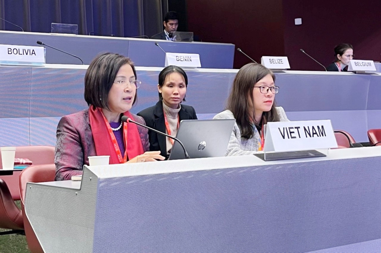 Việt Nam đánh giá cao vai trò của IOM trong các vấn đề di cư 2