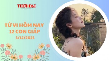 Tử vi hôm nay 12 con giáp 3/12/2023: Ngọ may mắn vượt bậc