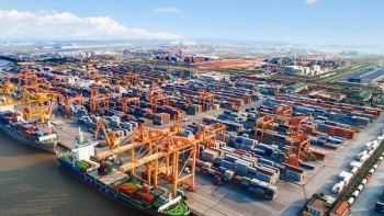Nhiều tiềm năng phát triển vận tải đường biển Việt Nam-Nga