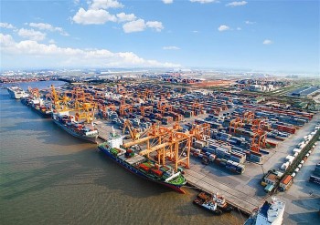 Nhiều tiềm năng phát triển vận tải đường biển Việt Nam-Nga