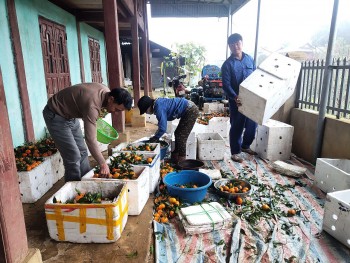 nguoi ban muong lam giau tren vung dat kho