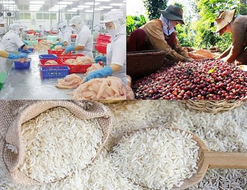 Senegal mong muốn doanh nghiệp Việt Nam đầu tư vào chế biến nông sản, dệt may