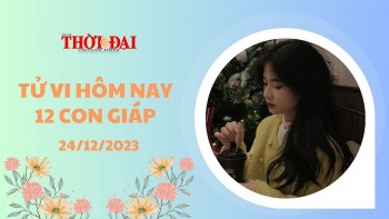 tu vi hom nay 12 con giap 24122023 dau duoc tai tinh chieu menh dung ngay giang sinh