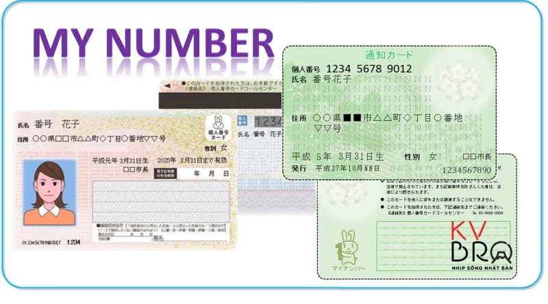 Nhật Bản số hóa, loại bỏ thẻ bảo hiểm y tế truyền thống 2