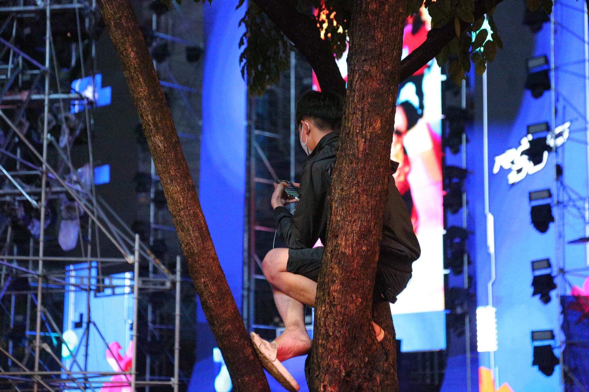 Một bạn trẻ chọn leo lên cây để theo dõi các chương trình. (Ảnh: Công an TP.HCM)