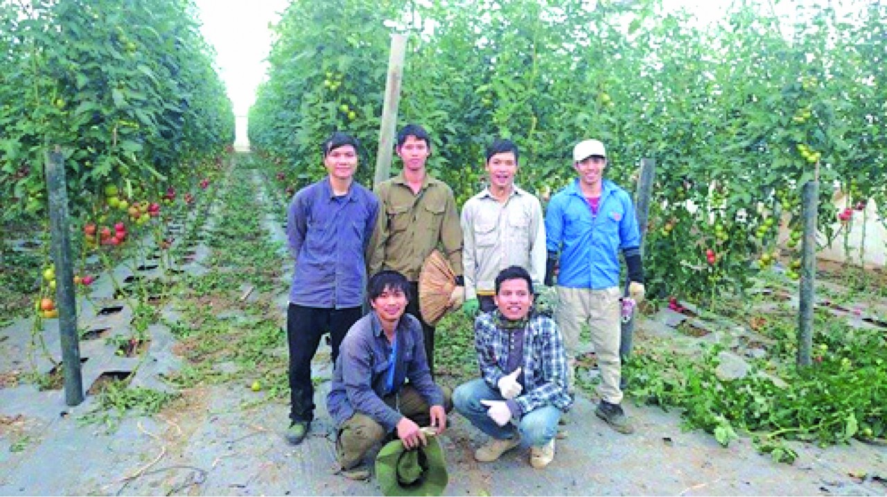 Hoàng Đình Lập (thứ 2 từ trái qua) cùng các bạn tu nghiệp sinh Việt Nam trong khóa đào tạo nông nghiệp ở Arava.