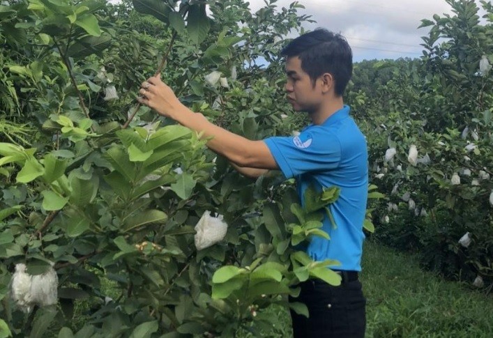 Đồng Việt Huân trồng một số cây ăn quả, áp dụng hệ thống tưới thông minh trong vườn của gia đình.