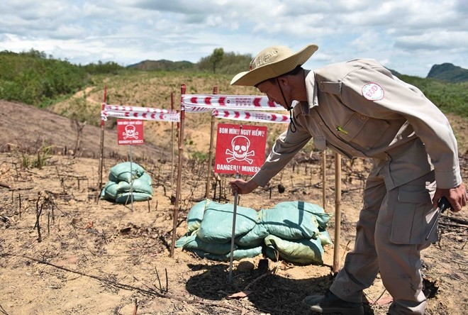 Thành viên của Tổ chức Peace Trees Việt Nam làm việc tại một địa điểm tháo gỡ bom mìn. Ảnh: DSQ Mỹ