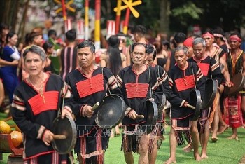 hoc gia anh danh gia cao nen van hoa phong phu da dang cua viet nam