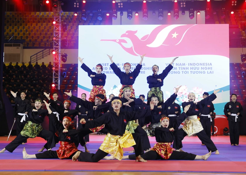 Chủ tịch nước và Tổng thống Indonesia tham dự chương trình biểu diễn võ thuật
