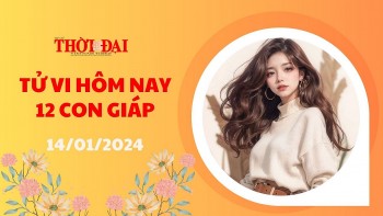 Tử vi hôm nay 12 con giáp 14/1/2024: Dậu cẩn thận sập bẫy kẻ xấu