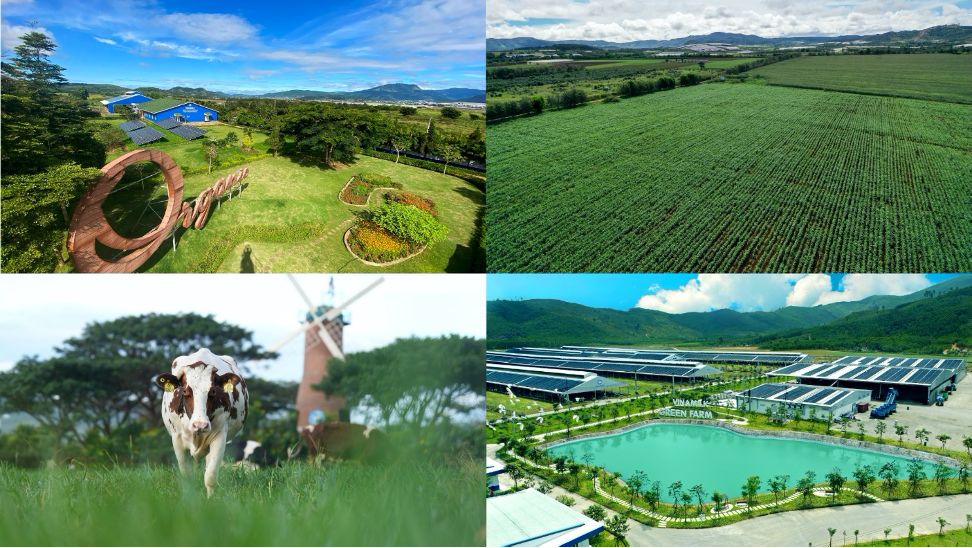 Trang trại “Green Farm”, “Trung hoà Carbon” - Những bước chân đầu tiên của Vinamilk trong lộ trình đến Net Zero