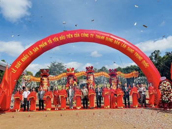 Xuất khẩu chính ngạch lô sản phẩm tổ yến đầu tiên của tỉnh Đắk Lắk sang thị trường Trung Quốc