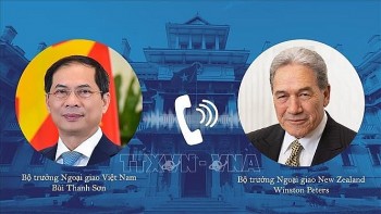 Việt Nam-New Zealand nghiên cứu hợp tác ứng phó biến đổi khí hậu, chuyển đổi số