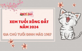 Tuổi xông đất năm 2024 cho gia chủ tuổi Đinh Mão 1987