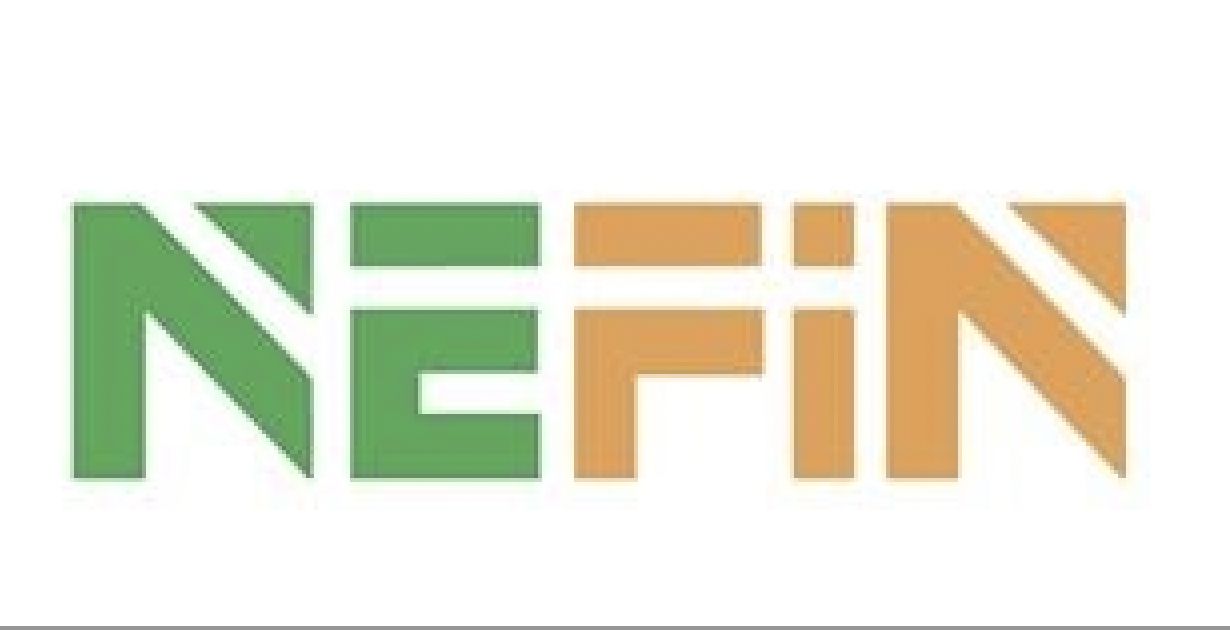 NEFIN khánh thành và đưa vào hoạt động dự án lưu trữ năng lượng ở Nam Kinh (Trung Quốc)