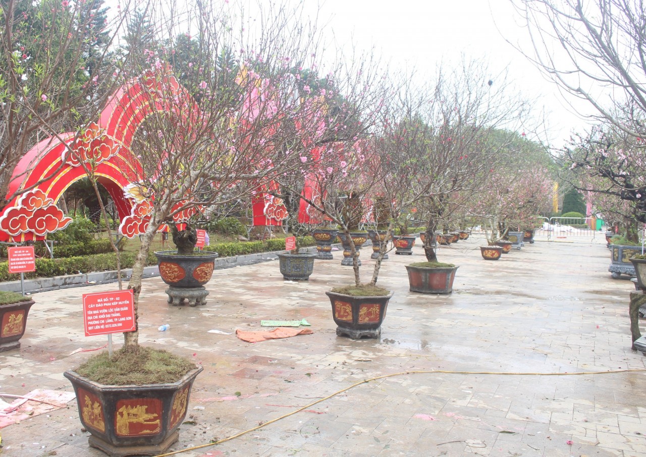 Trải nghiệm không gian văn hóa tại lễ hội hoa đào xứ Lạng 202