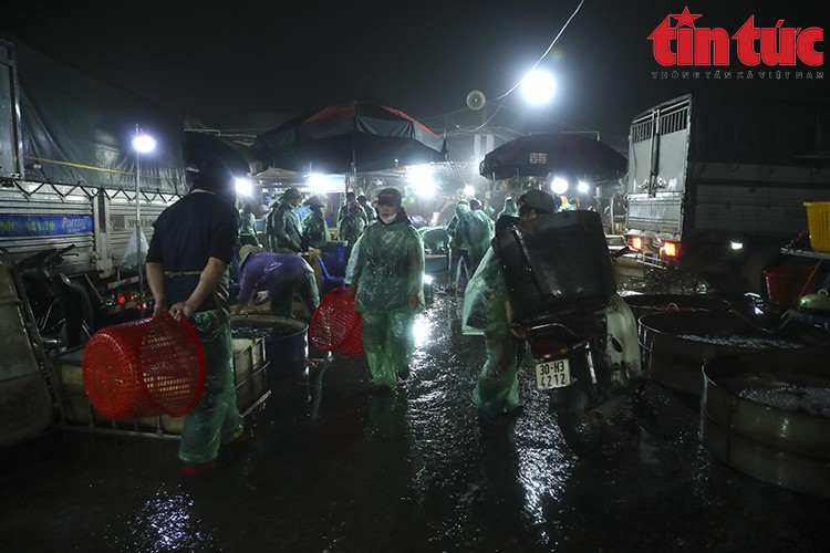 Chợ Yên Sở đỏ ối cá chép tiễn ông Công ông Táo về trời